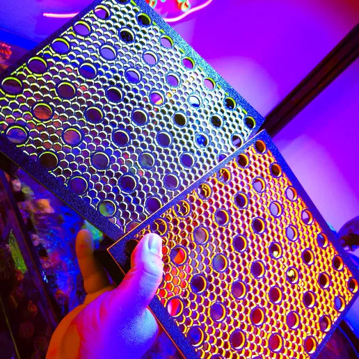 STL:  FREE Frag Rack STL File | 49-Spot Reef Coral Frag Holder
