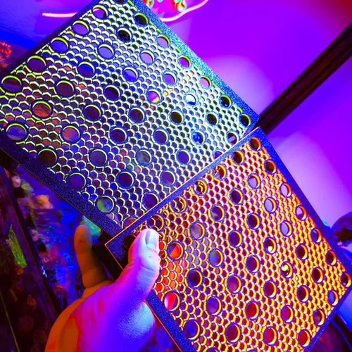 STL:  FREE Frag Rack STL File | 49-Spot Reef Coral Frag Holder