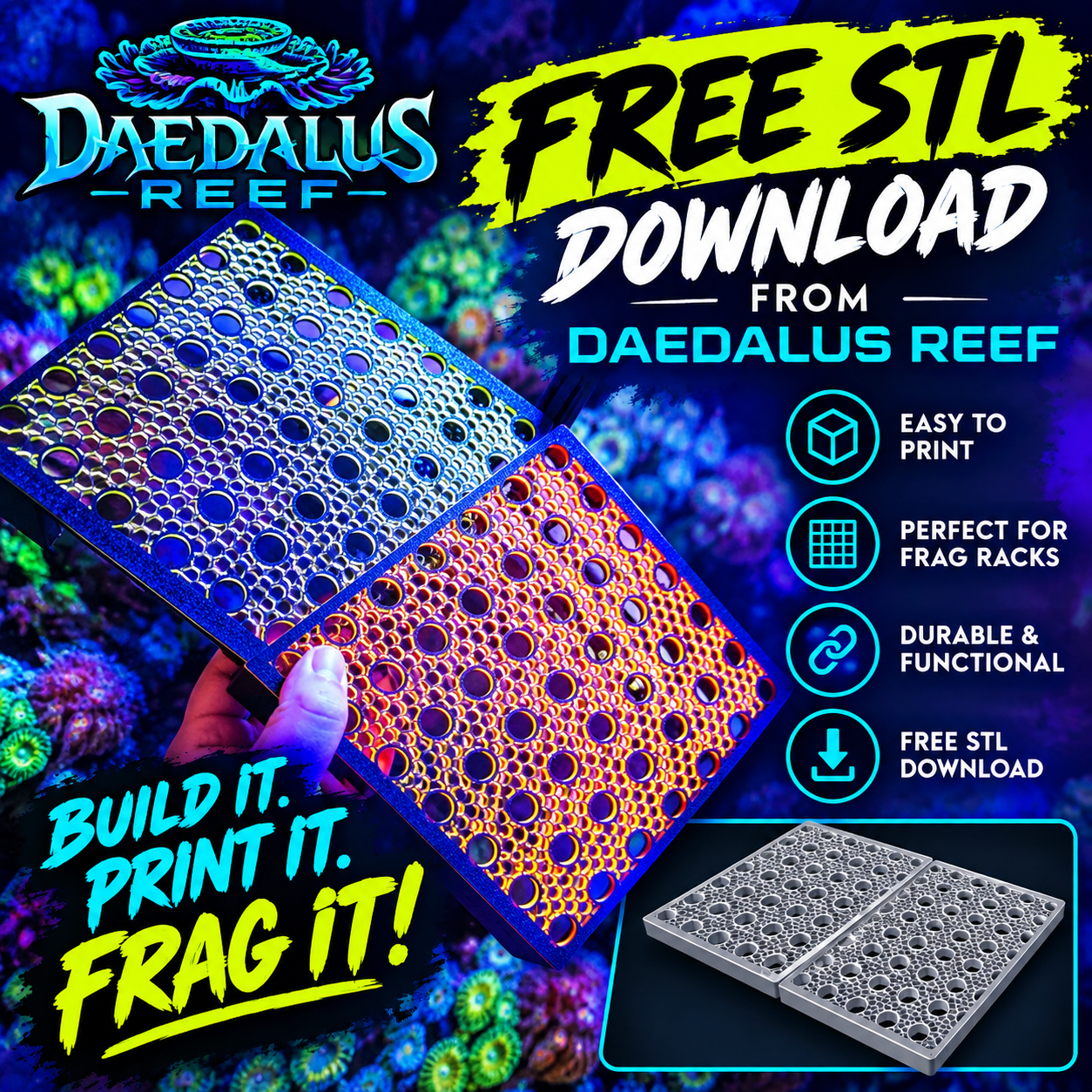STL:  FREE Frag Rack STL File | 49-Spot Reef Coral Frag Holder