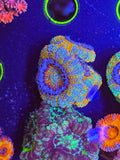 Beach house Rainbow Acan
