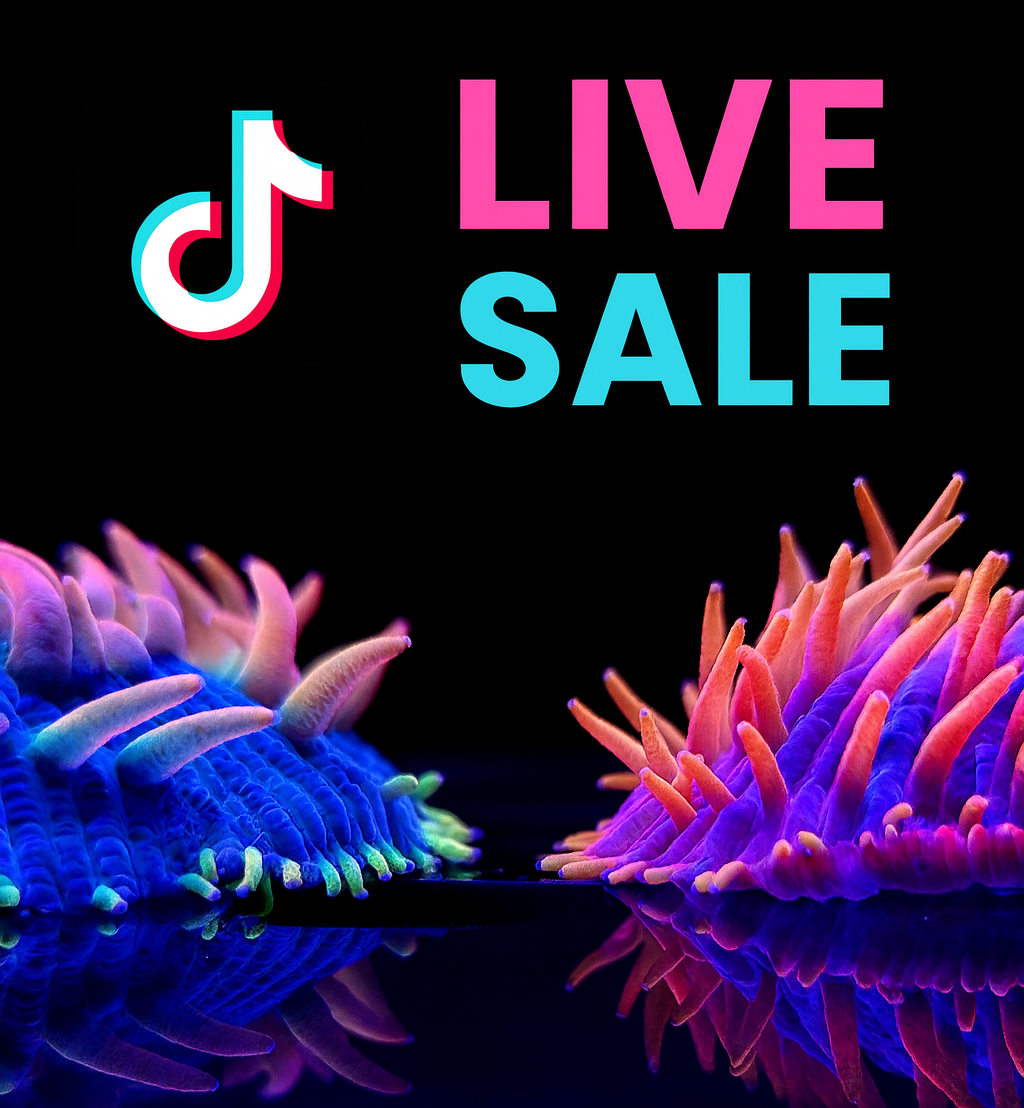 TikTok Live Sale